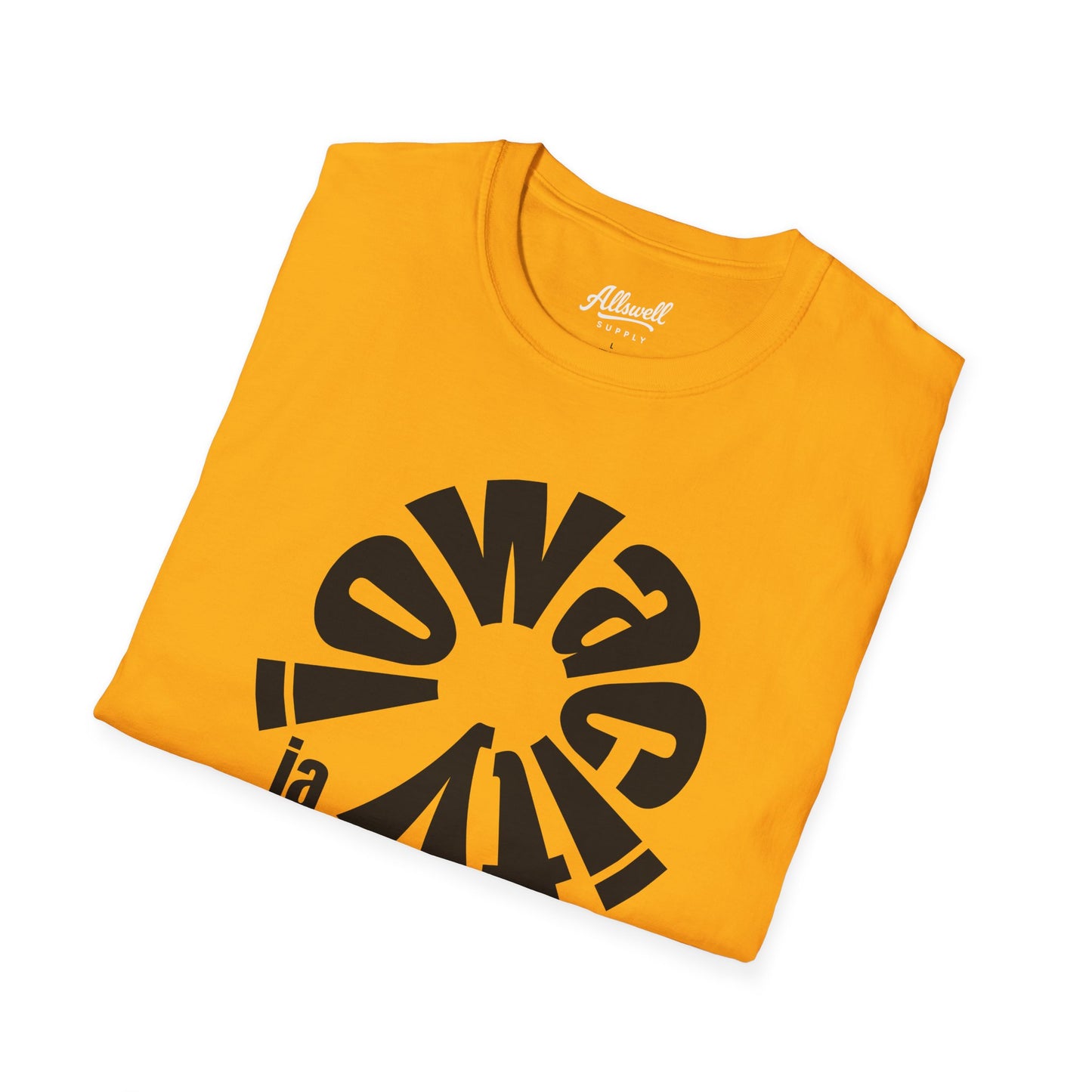 Iowa City 'Every Town' T-shirt