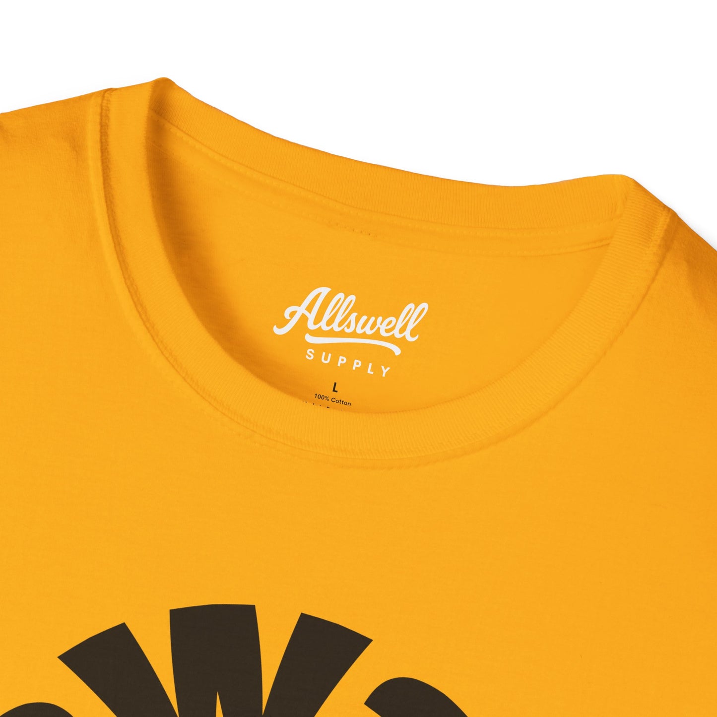 Iowa City 'Every Town' T-shirt