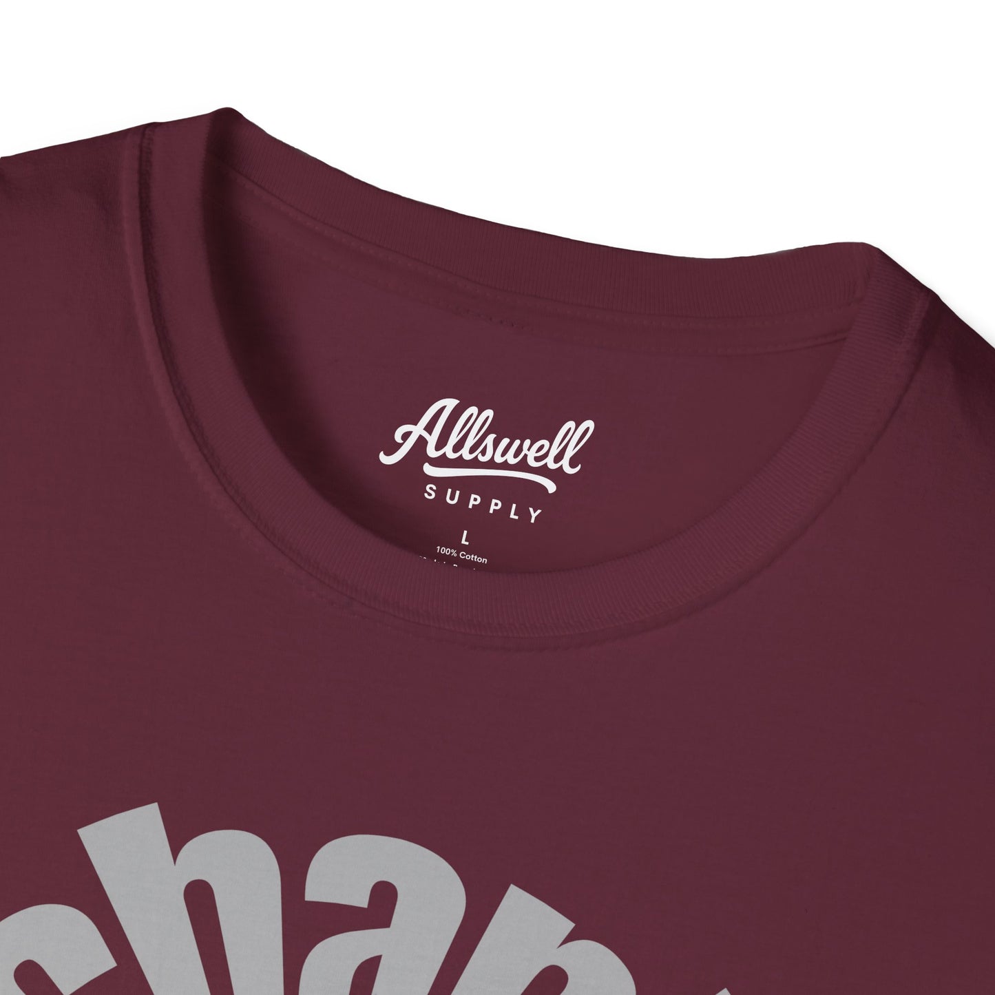 Mechanicsburg 'Every Town' T-shirt