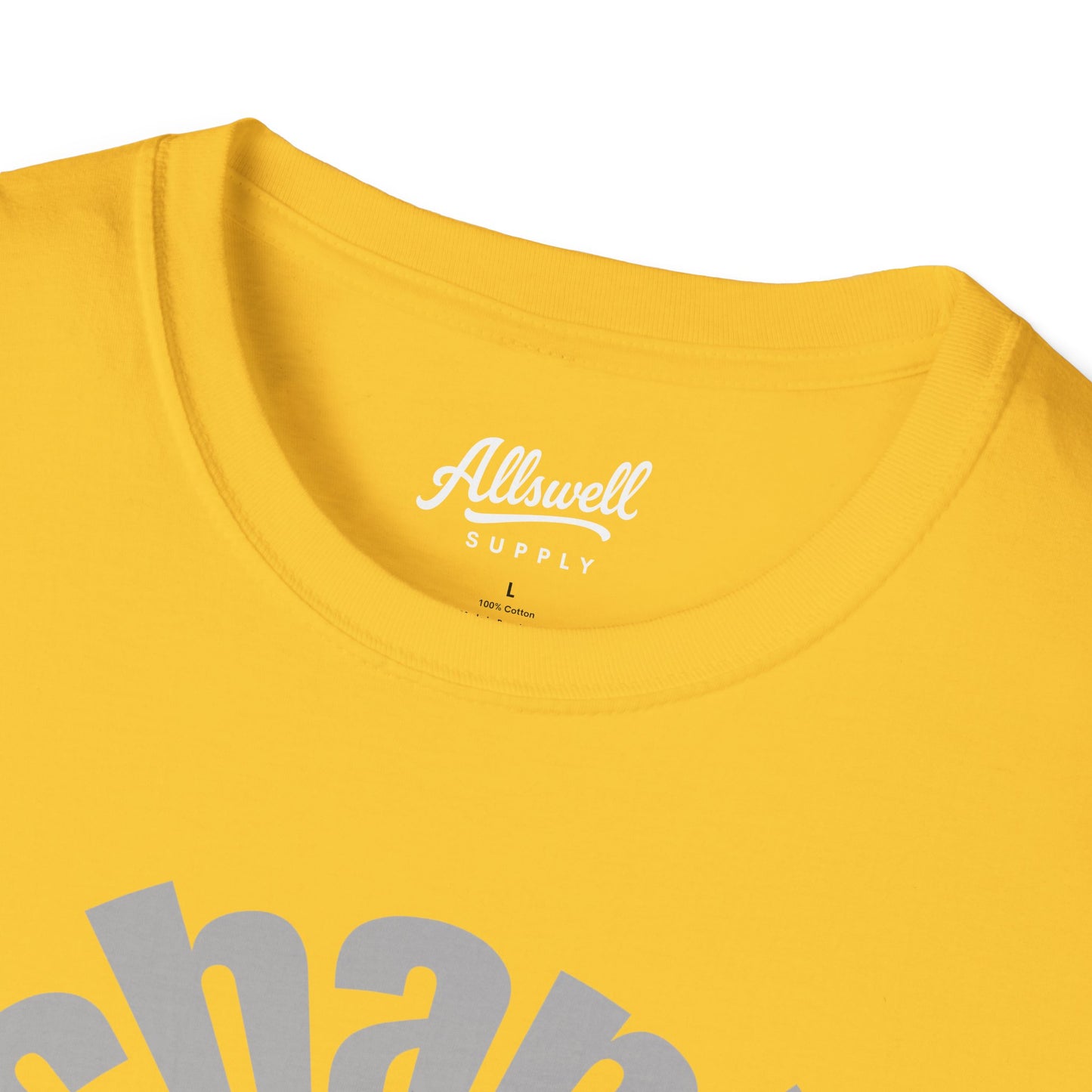 Mechanicsburg 'Every Town' T-shirt
