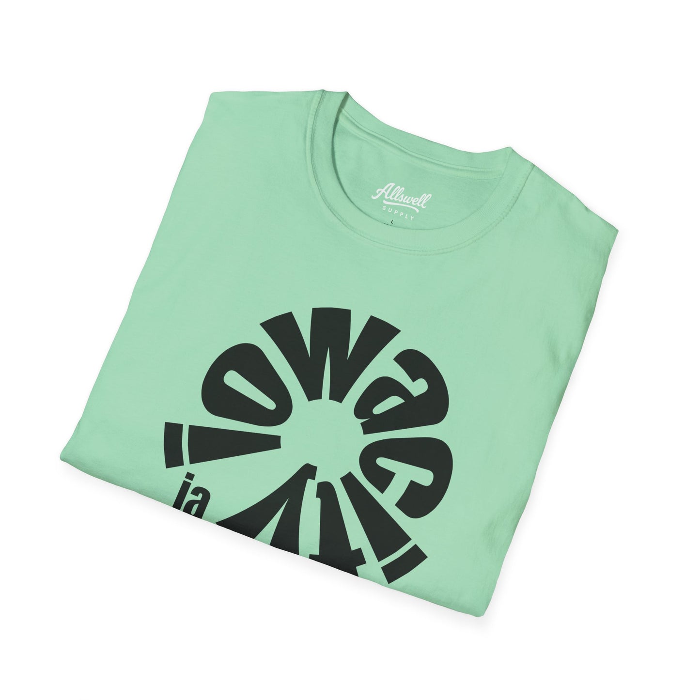 Iowa City 'Every Town' T-shirt